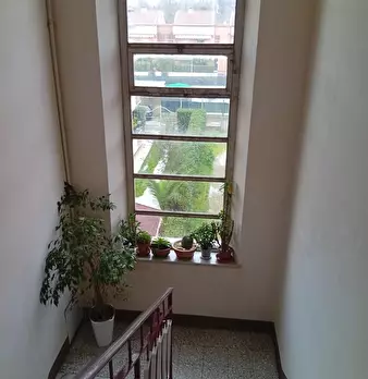 Foto annuncio 11