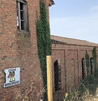 Foto annuncio 7