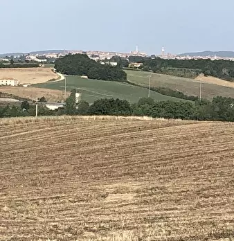 Foto annuncio 4