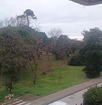 Foto annuncio 23