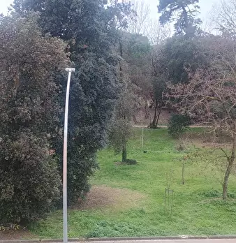 Foto annuncio 21
