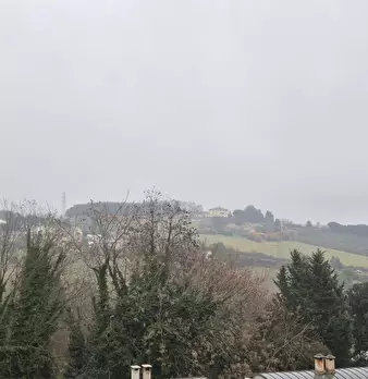 Foto annuncio 21