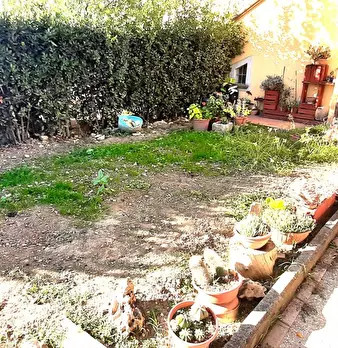 Foto annuncio 16