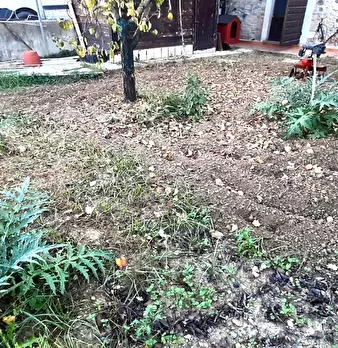 Foto annuncio 3