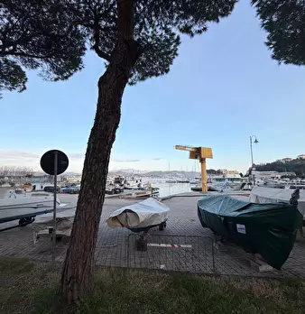 Foto annuncio 11
