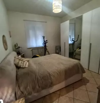 Foto annuncio 72