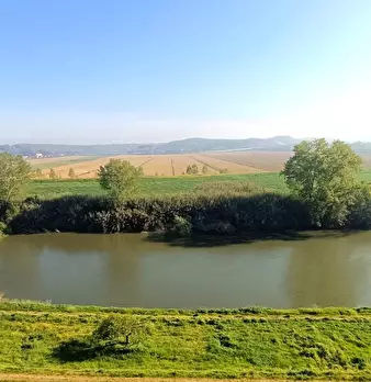 Foto annuncio 10