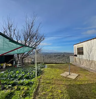 Foto annuncio 31
