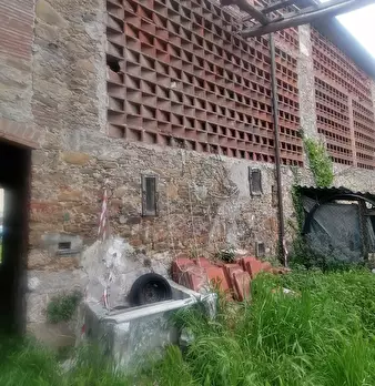 Foto annuncio 7