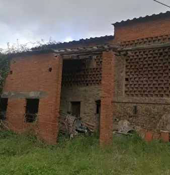 Foto annuncio 9