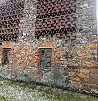 Foto annuncio 5