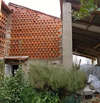 Foto annuncio 8