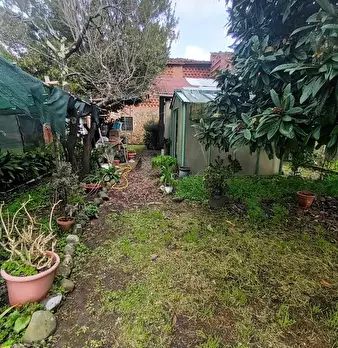 Foto annuncio 22
