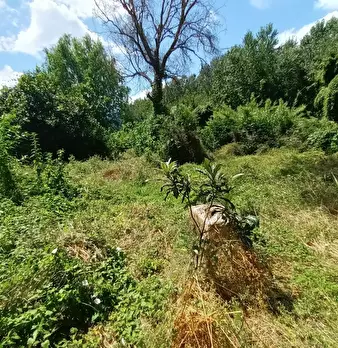 Foto annuncio 4