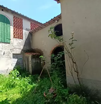 Foto annuncio 8