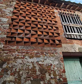 Foto annuncio 16