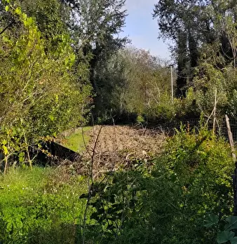 Foto annuncio 10