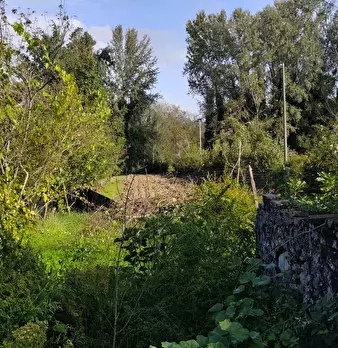 Foto annuncio 11