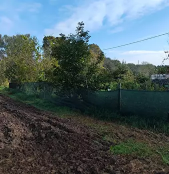 Foto annuncio 9