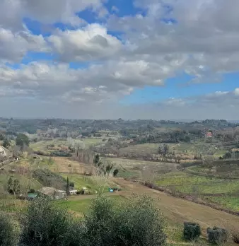 Foto annuncio 19