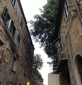 Foto annuncio 51