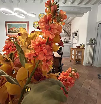 Foto annuncio 10