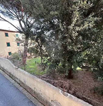 Foto annuncio 49