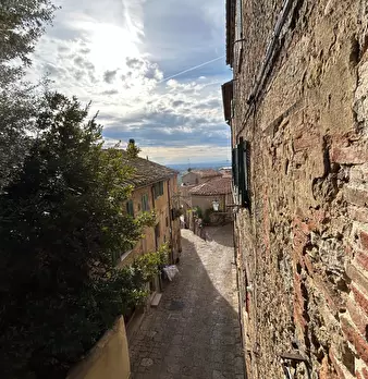 Foto annuncio 53