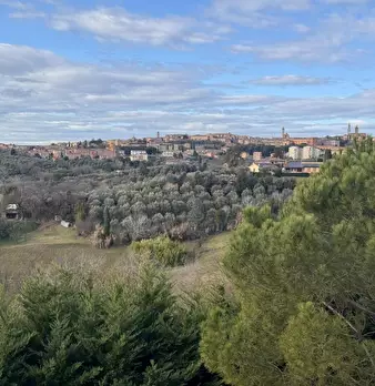 Foto annuncio 17