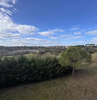 Foto annuncio 16