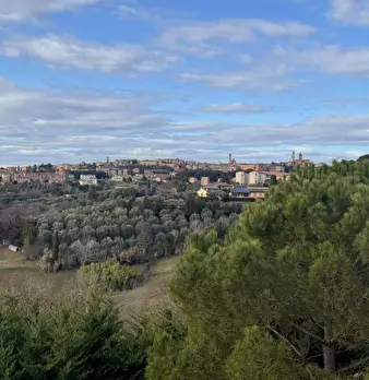 Foto annuncio 18