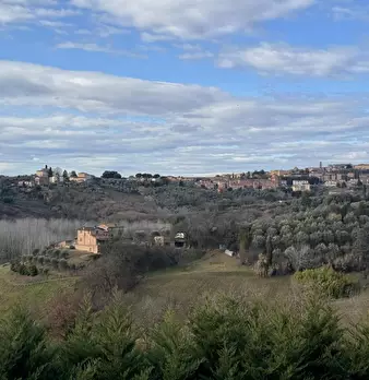 Foto annuncio 9