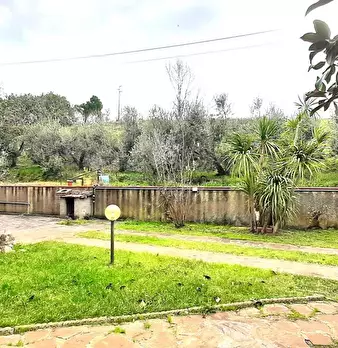 Foto annuncio 56