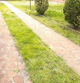 Foto annuncio 58