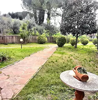Foto annuncio 6