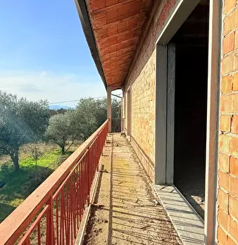 Foto annuncio 42