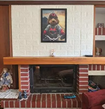 Foto annuncio 13
