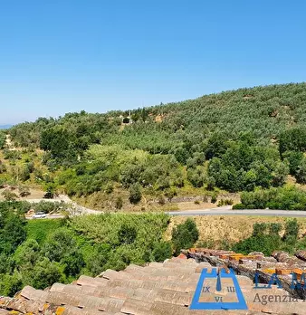 Foto annuncio 45