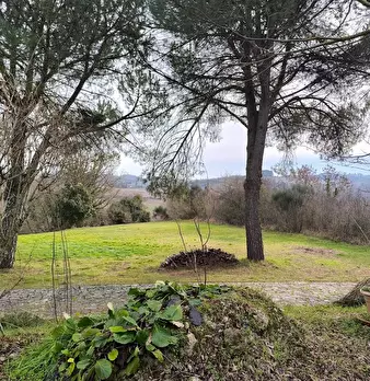 Foto annuncio 26