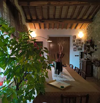 Foto annuncio 61