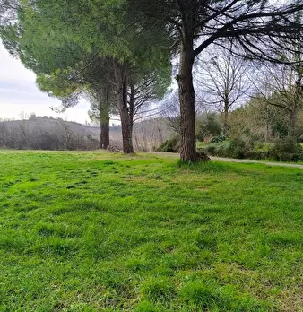 Foto annuncio 11