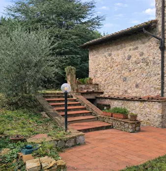 Foto annuncio 7