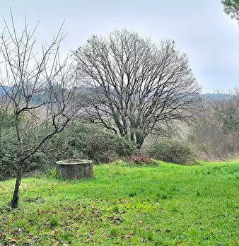 Foto annuncio 15