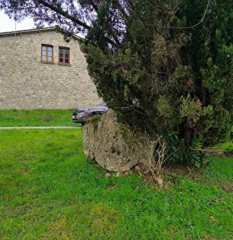 Foto annuncio 12