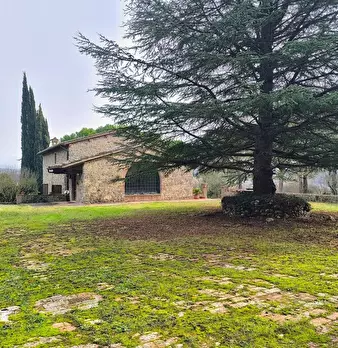 Foto annuncio 19