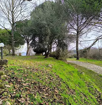 Foto annuncio 27
