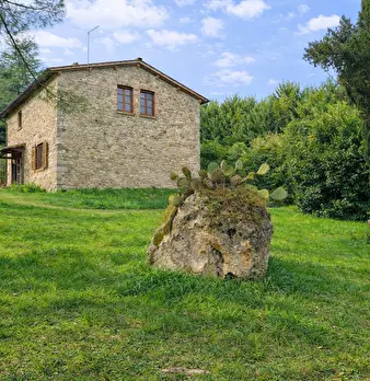 Foto annuncio 6