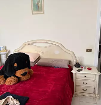 Foto annuncio 14