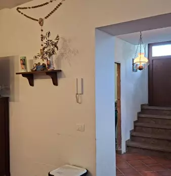 Foto annuncio 37
