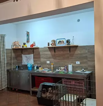Foto annuncio 39